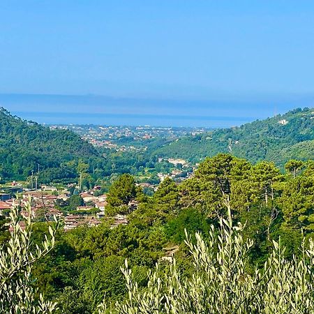 Casa Del Sole Bed and Breakfast Camaiore Exteriör bild