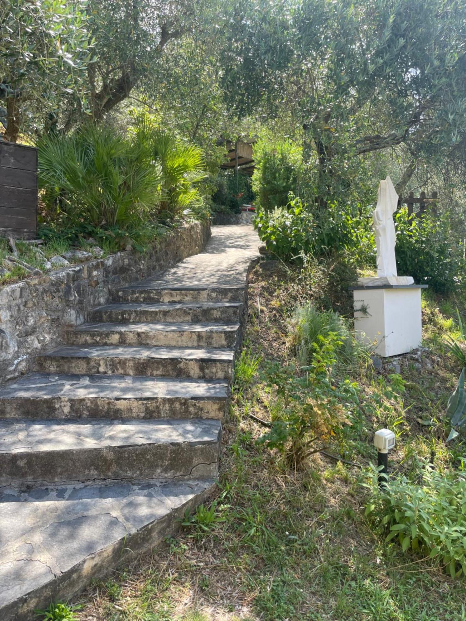 Casa Del Sole Bed and Breakfast Camaiore Exteriör bild