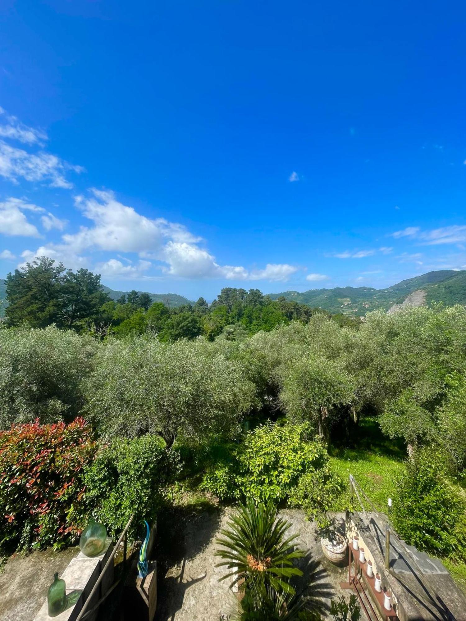Casa Del Sole Bed and Breakfast Camaiore Exteriör bild